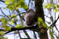 5th May 2015